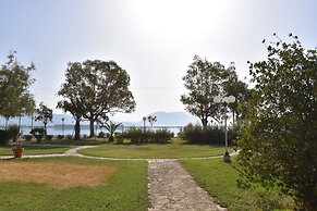 Theoxenia