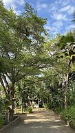 Pinewood Beach Resort and Spa