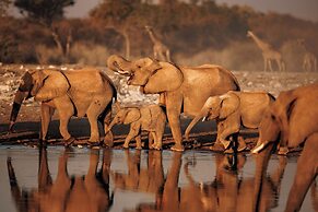 Mokuti Etosha