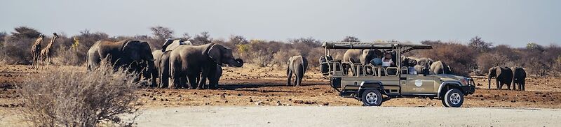Mokuti Etosha