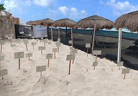 Solymar Hotel - All Inclusive