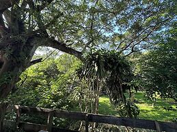 Petite Provence B&B
