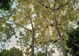 Lampang River Lodge