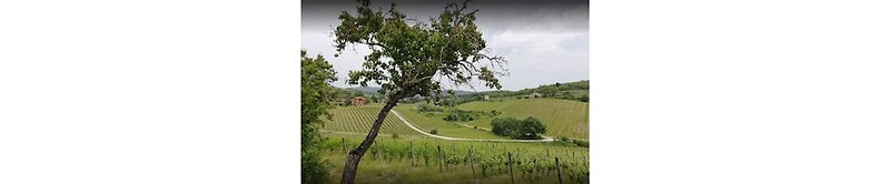 Hotel Le Vigne