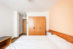 Hotel Alpina