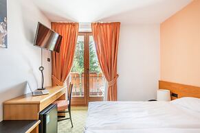 Hotel Alpina