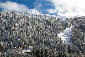 Hotel Alpina
