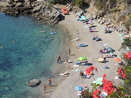 Viticcio