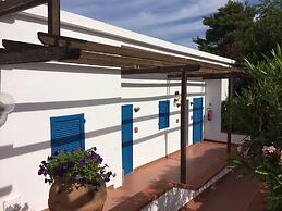Viticcio