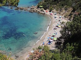 Viticcio