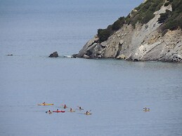 Viticcio