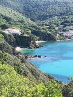 Viticcio