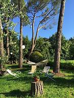 Fiorenza