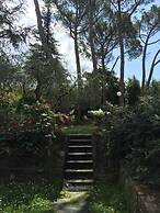 Fiorenza