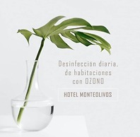 Hotel AACR Monteolivos