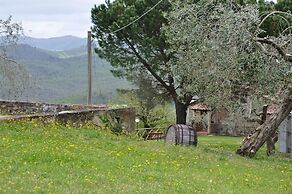 Castello di Selvole-Adults Only