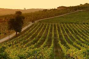 Tenuta di Monaciano