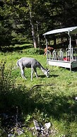 Hotel Garni Hubertus
