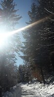 Hotel Garni Hubertus