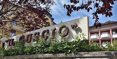 Il Guscio
