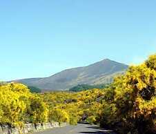 Il Vigneto - Bed & Breakfast