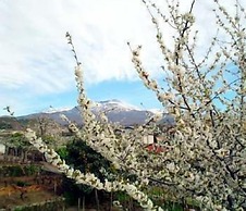 Il Vigneto - Bed & Breakfast
