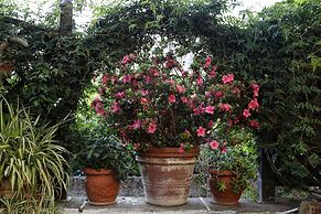 Orchid Corner