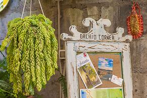 Orchid Corner
