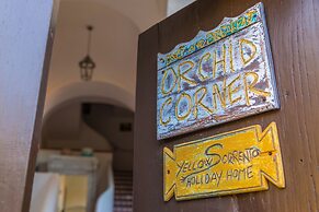 Orchid Corner