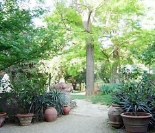 Fattoria San Donato