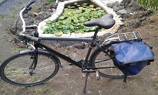 Sotto il Vulcano