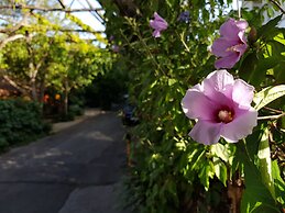 Villaggio Verde