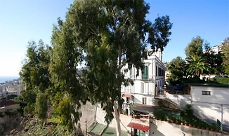 Franca