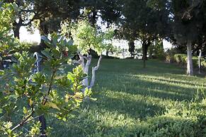 Villa Ducci