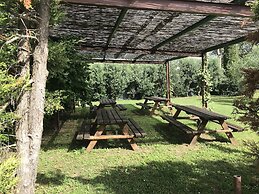 Il Pettirosso di Siena