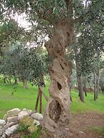 Hotel I Melograni
