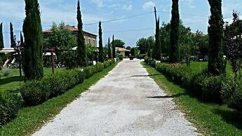 Casale 900