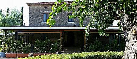 Casale 900