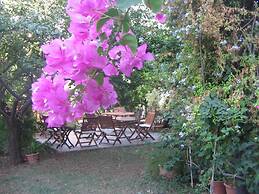 Hotel Gulec