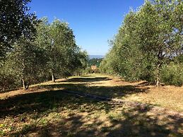 Agriturismo La Palazzina