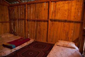 Bayrams Tree Houses
