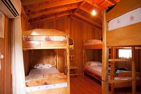 Bayrams Tree Houses