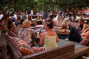 Bayrams Tree Houses