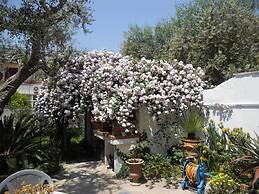 B&B La Rosa Antica