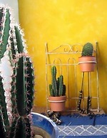 B&B Bio