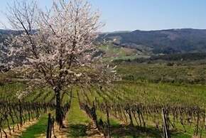 Fattoria Voltrona