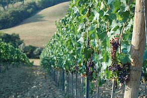 Fattoria Voltrona