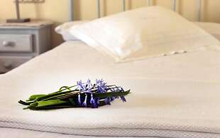 Hotel Boutique Alicia Carolina