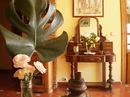Hotel Boutique Alicia Carolina