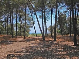 Acqua di Friso